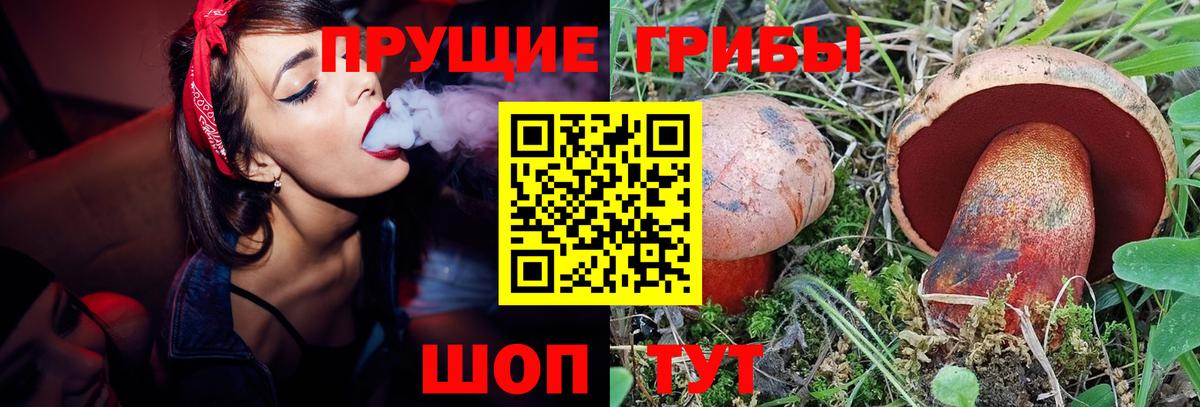 Псилоцибиновые грибы мицелий  Псилоцибиновые грибы GOLDEN TEACHER  Якутск  Вход с VPN 