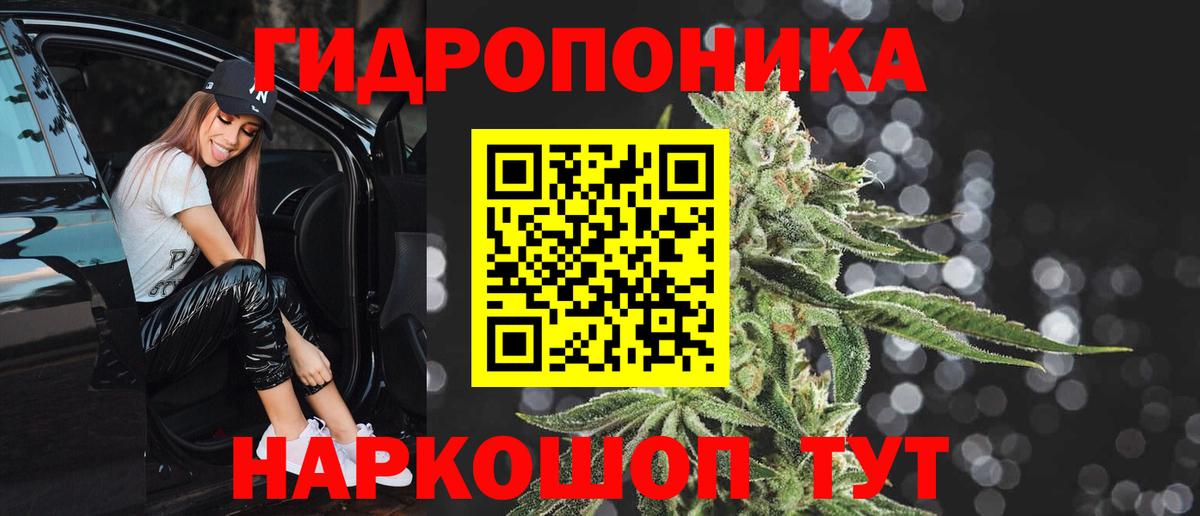 Бошки Шишки марихуана Якутск